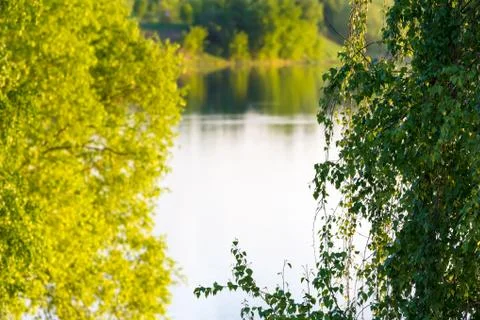 Lake framed by trees Foto stock