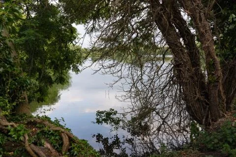 Lake framed by trees Stock Photos