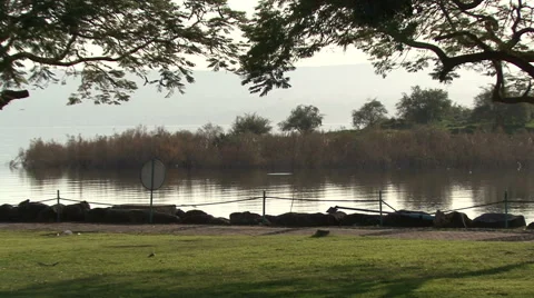 Lake Galilee. Stock Footage 51332738