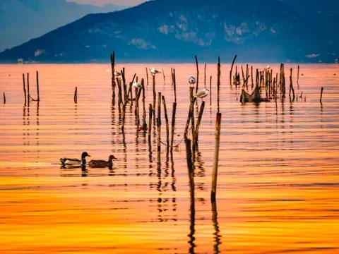 Lake of Garda Stock Photos