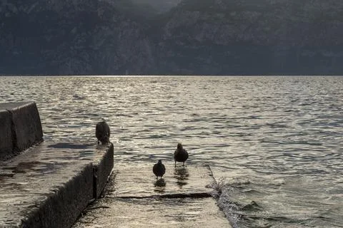 Lake Garda 스톡 사진