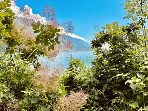 Lake of Garda Stock Photos