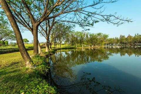 Lake in the garden 写真素材