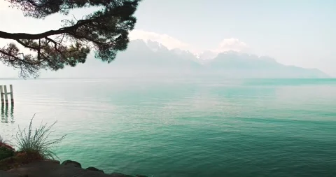 Lake Geneva Framed by Pine Trees and Alpine Mountains Switzerland Stock Footage 337435019
