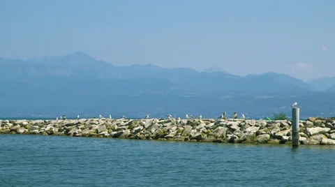 Lake Geneva Shore Stock Footage 58496989