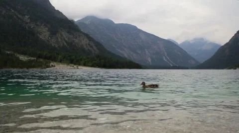 Lake in Germany during summer Stock Footage 64865829
