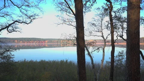 Lake (Glubigsee) in germany in fall Stock Footage 172274933