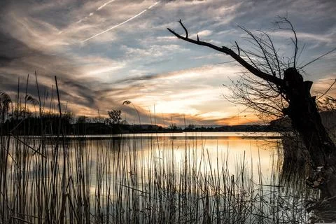 Lake, Grass, Sunset image Stock Photos