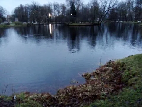 Lake with gray sky Foto stock