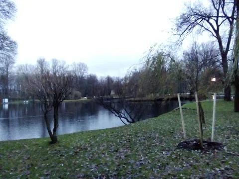 Lake with gray sky Stock Photos