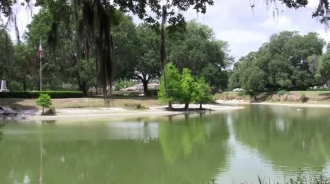 Lake Green Trees Vidéo 21959017