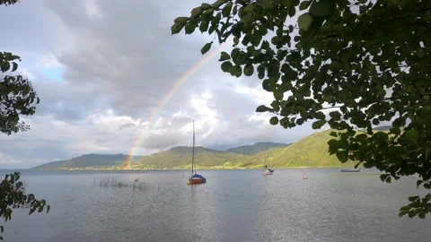 Lake with green trees Video stock 218427357