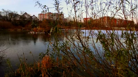 Lake half covered in ice with ducks Stock-Footage 220501402
