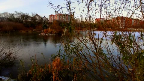 Lake half covered in ice with ducks Stock Footage 220501577