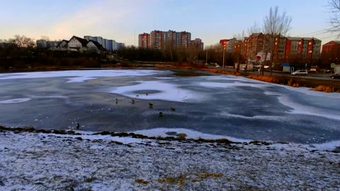 Lake half covered in ice with ducks Stock Footage 220502471