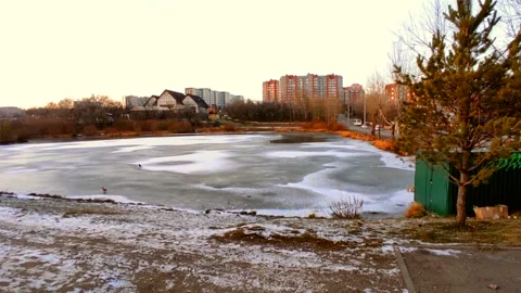 Lake half covered in ice with ducks Stock Footage 220502645