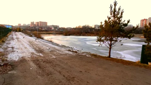 Lake half covered in ice with ducks Stock Footage 220502753