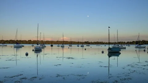 Lake Harriet Sailboats at Sunset HD Stock Footage