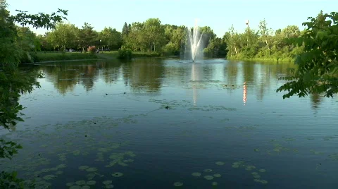 Lake HD 動画素材 498453