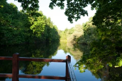 Lake hidden in the forest Stock Photos