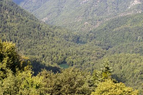 Lake hidden in the forest. View of forest and lake from above. Bolu Yedigolle Stock Photos