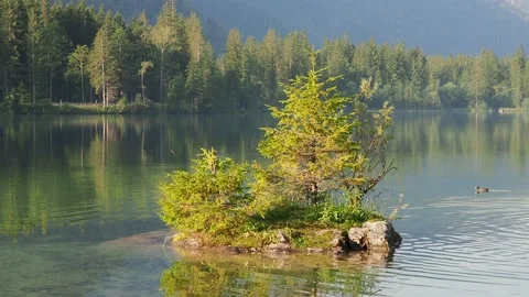 Lake Hintersee in Bavaria, Germany Vidéo 138379538