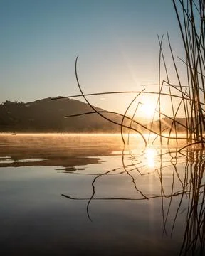 Lake Hodges Reflection Stock Photos