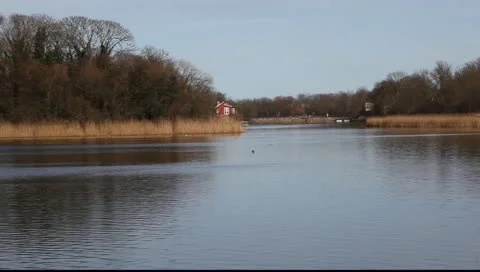 Lake House Video stock 10804678