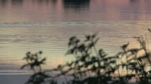 The lake house Stock-Footage 10835144