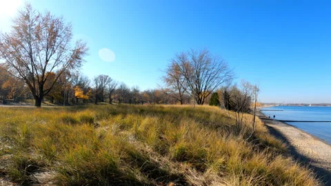Lake Huron Trees Beachgrass Sand Dunes and-Beach Stock Footage 143201426