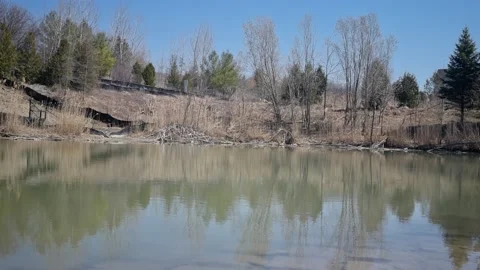 Lake illuminated by the arrival of spring." 库存影片 238405760