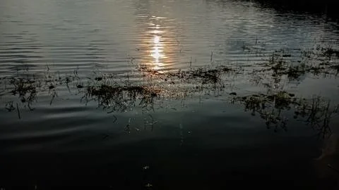 Lake image Stock Photos