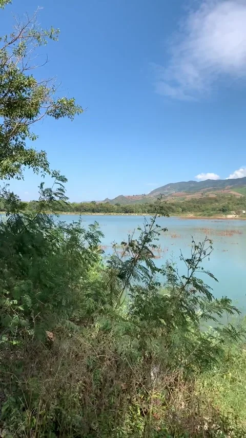 Lake in Inle Lake 動画素材 343754812