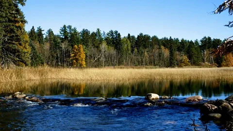 Lake Itasca held behind a man made dam at the headwaters of the Mississippi Stock Footage 97030809