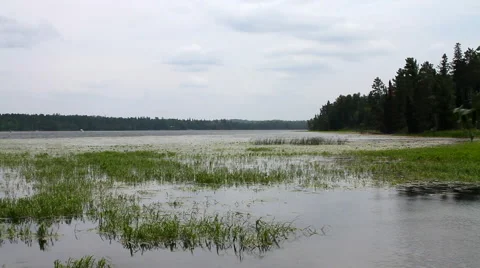 Lake Itasca Minnesota 01 Stock Footage 52222752