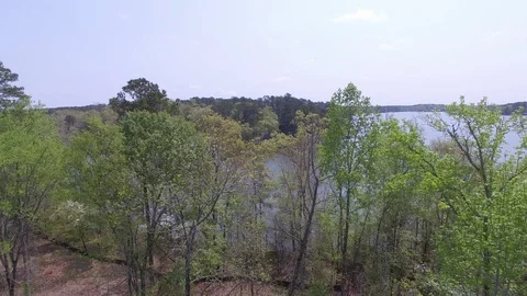 Lake Jackson 836 Stock Footage 115648398