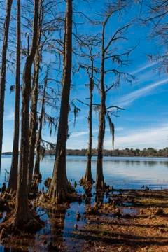 Lake Jackson Foto stock