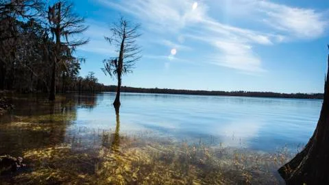 Lake Jackson Foto stock