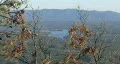 Lake James, North Carolina 04 HD Footage