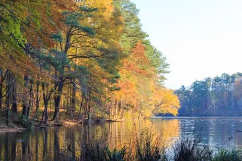 Lake Johnson in Raleigh, NC during fall season Stock Photos