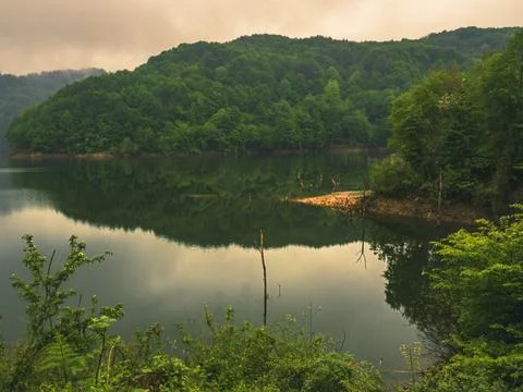 The lake into jungle Stock Photos