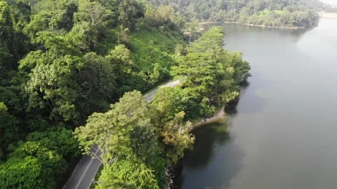 Lake with jungle scenery Stock Footage 153641855