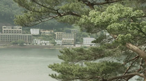 Lake Kawaguchi side pine tree 02, non color grade 4K (3840x2160) Видео 39552367