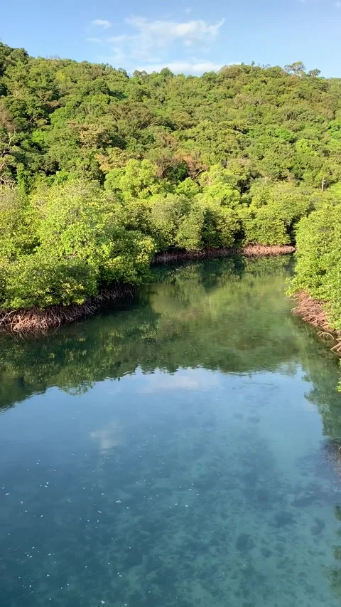 Lake in Kho Phi Phi Видео 344768825