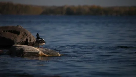 Lake Ladoga Stock Footage 131173538