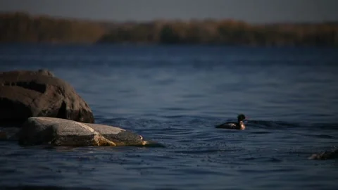 Lake Ladoga Stock Footage 131173565