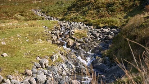Lake land mountain stream close up.  Sound of running water. Stock Footage 118467487