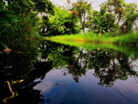 Lake Landscape 1 Stock Photos