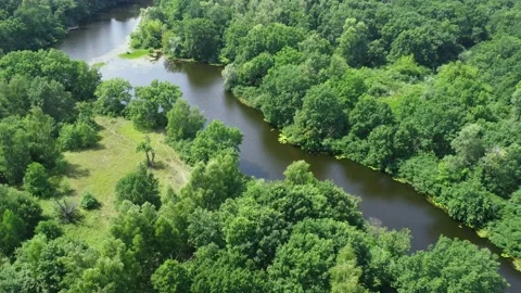 Lake landscape background. Forest river flying view. Stock Footage 221631259