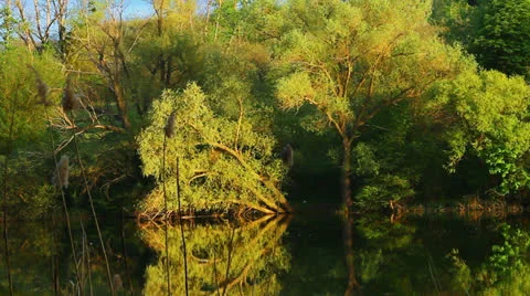 Lake Landscape Video stock 23235115